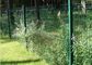 Eğimli Metal Bahçe Örgü Eskrim Tozu Püskürtme Koyu Yeşil Tel Çiti Bükme Tedarikçi