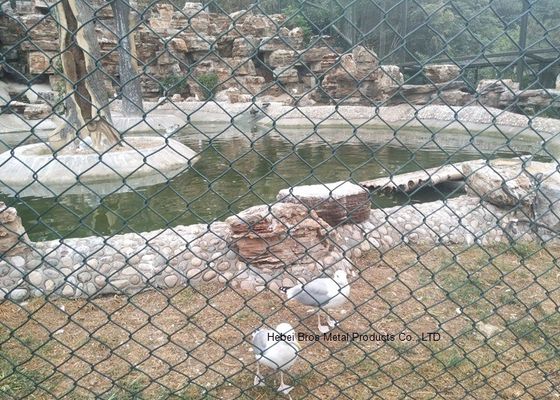 Çin Zoo Koruma için PVC Kaplı Tel Örme Çit / Yeşil Tel Eskrim Zinciri Bağlantısı Tedarikçi